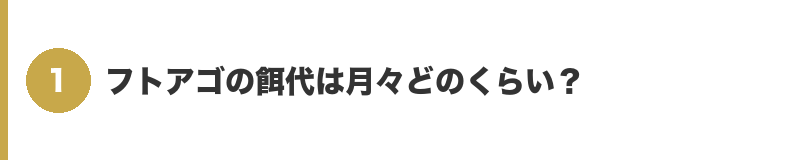 見出しバナー1：フトアゴの餌代は月々どのくらい？