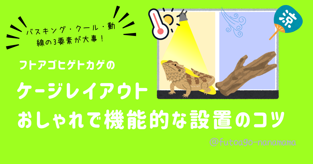 フトアゴヒゲトカゲのケージレイアウト｜おしゃれで機能的な設置のコツ