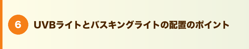 見出しバナー：UVBライトとバスキングライトの配置のポイント