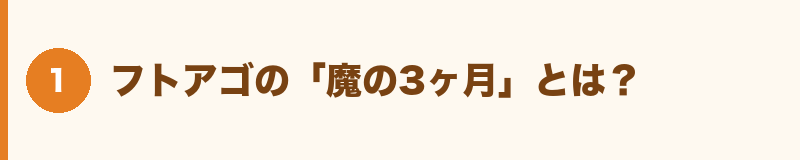 フトアゴの「魔の3ヶ月」とは？
