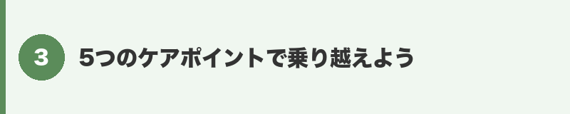 見出しバナー3：ケアの5ポイント