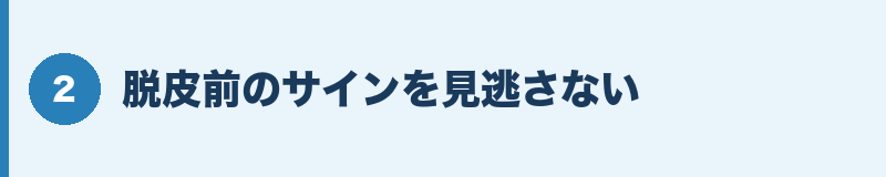 脱皮前のサインを見逃さない
