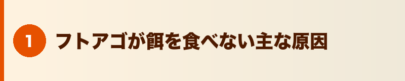 見出しバナー：フトアゴが餌を食べない主な原因