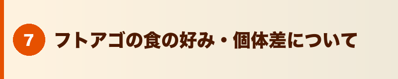 見出しバナー：フトアゴの食の好み・個体差について