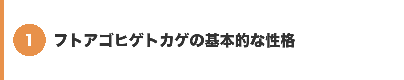 見出しバナー1：フトアゴヒゲトカゲの基本的な性格