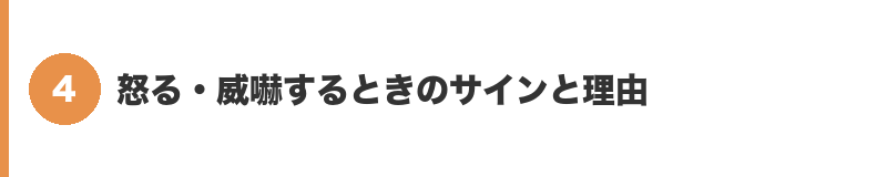 見出しバナー4：怒る・威嚇するときのサインと理由
