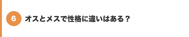 見出しバナー6：オスとメスで性格に違いはある？