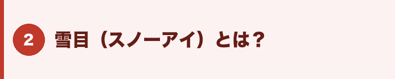 雪目（スノーアイ）とは？