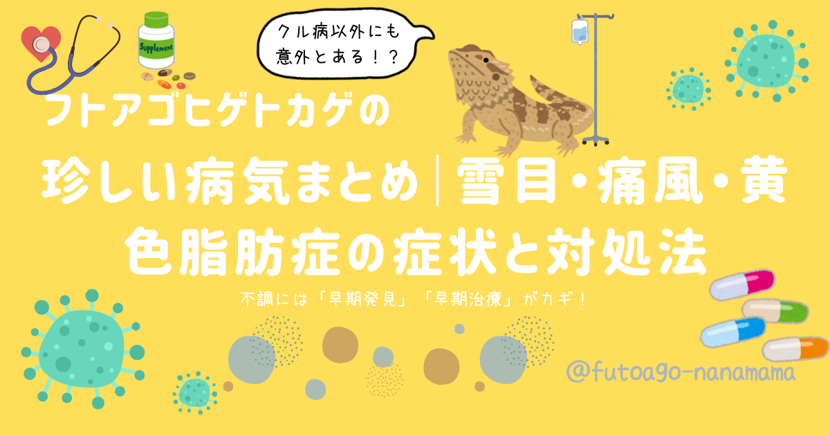 フトアゴヒゲトカゲの珍しい病気・雪目・痛風・黄色脂肪症の解説