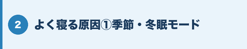 よく寝る原因①季節・冬眠モード