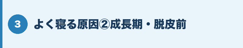 よく寝る原因②成長期・脱皮前