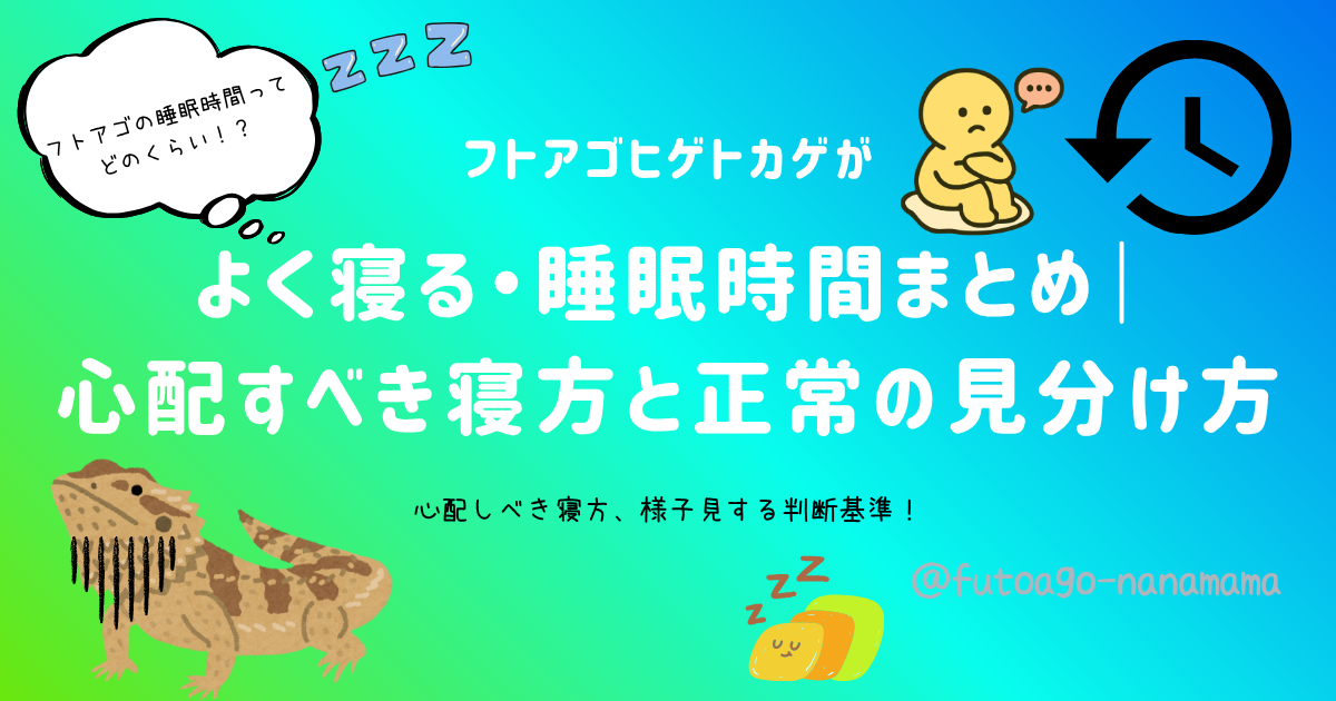 フトアゴヒゲトカゲがよく寝る・睡眠時間の解説