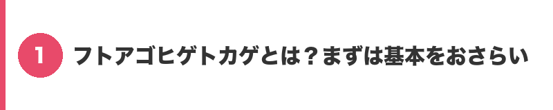 見出しバナー1：フトアゴヒゲトカゲとは？まずは基本をおさらい