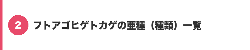 見出しバナー2：フトアゴヒゲトカゲの亜種（種類）一覧