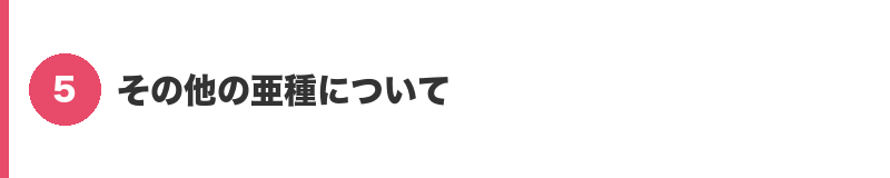 見出しバナー5：その他の亜種について