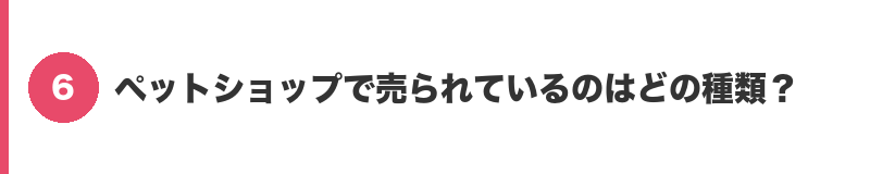 見出しバナー6：ペットショップで売られているのはどの種類？
