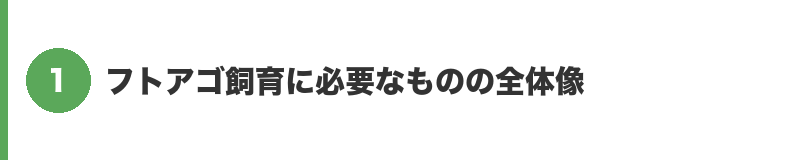 見出しバナー1：フトアゴ飼育に必要なものの全体像