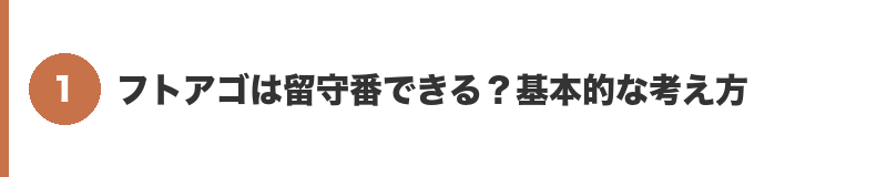 見出しバナー1:フトアゴは留守番できる?基本的な考え方