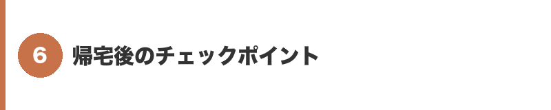 見出しバナー6:帰宅後のチェックポイント