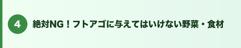 見出しバナー4:絶対NG!フトアゴに与えてはいけない野菜・食材