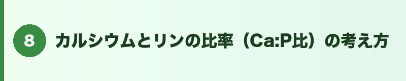 見出しバナー8:カルシウムとリンの比率(Ca:P比)の考え方