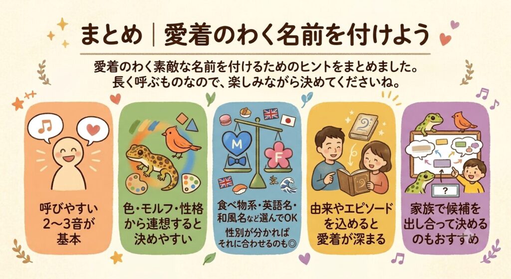 愛着のわく名前を付けたフトアゴのまとめイラスト
