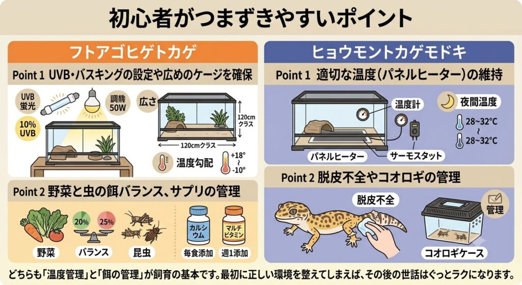初心者がつまずきやすいポイントを示すイラスト