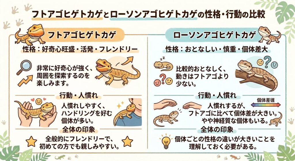 フトアゴとローソンの性格・行動の違いを示すイラスト