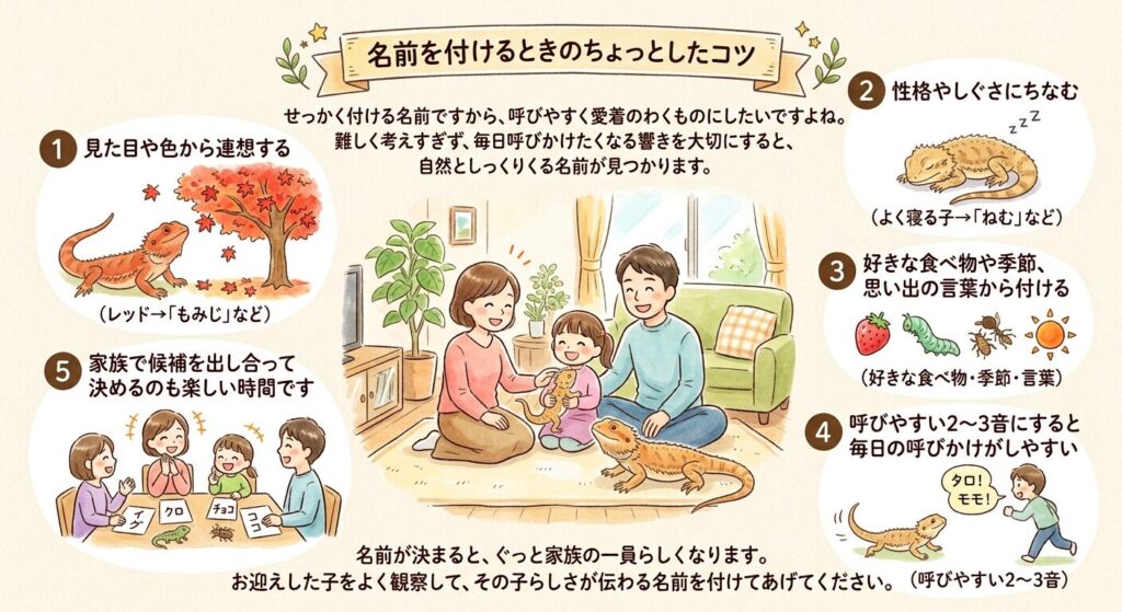 名前を付けるときのコツを示すイラスト