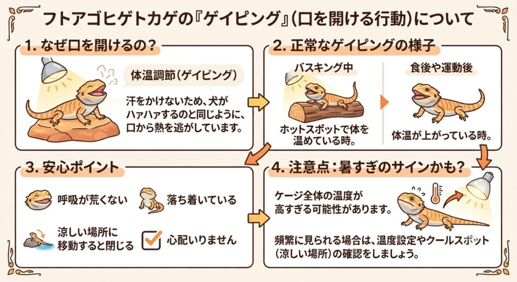 口を開けて体温調節するフトアゴのイラスト
