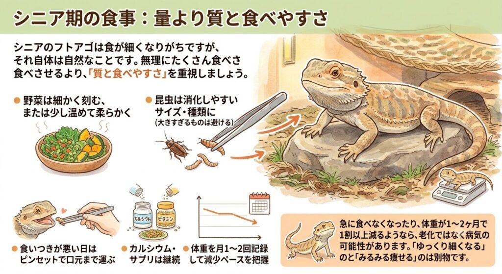 シニア期の食事の工夫を示すイラスト
