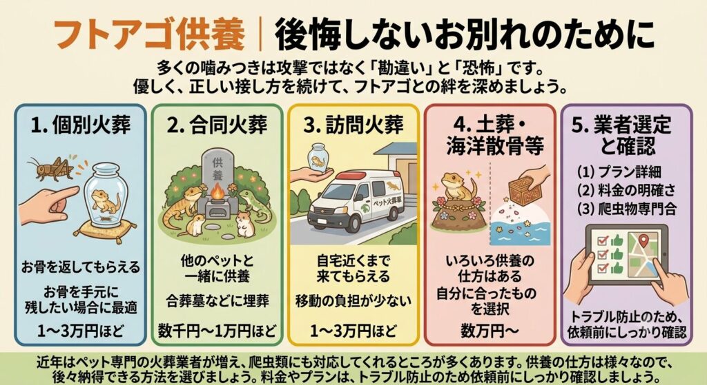 ペットの供養をイメージしたお花のある風景