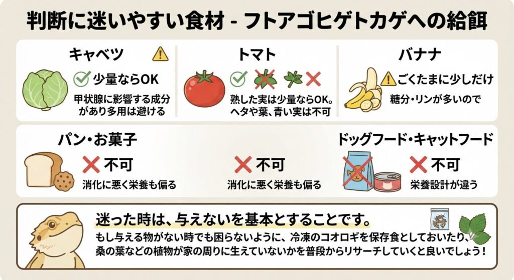 判断に迷いやすい食材のイメージ