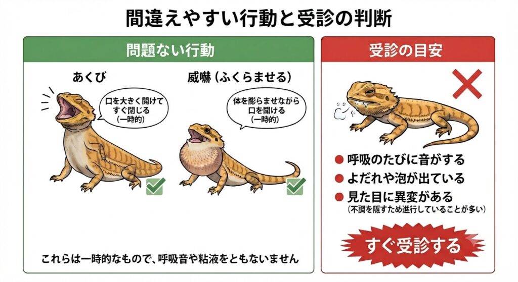 間違えやすい行動と受診判断のイラスト