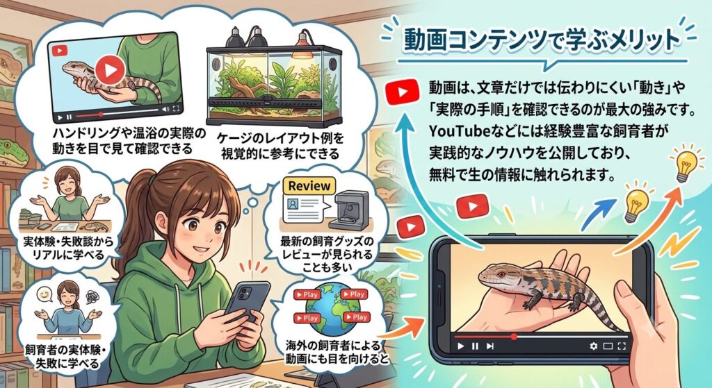 動画でハンドリングの手順を学ぶイメージ