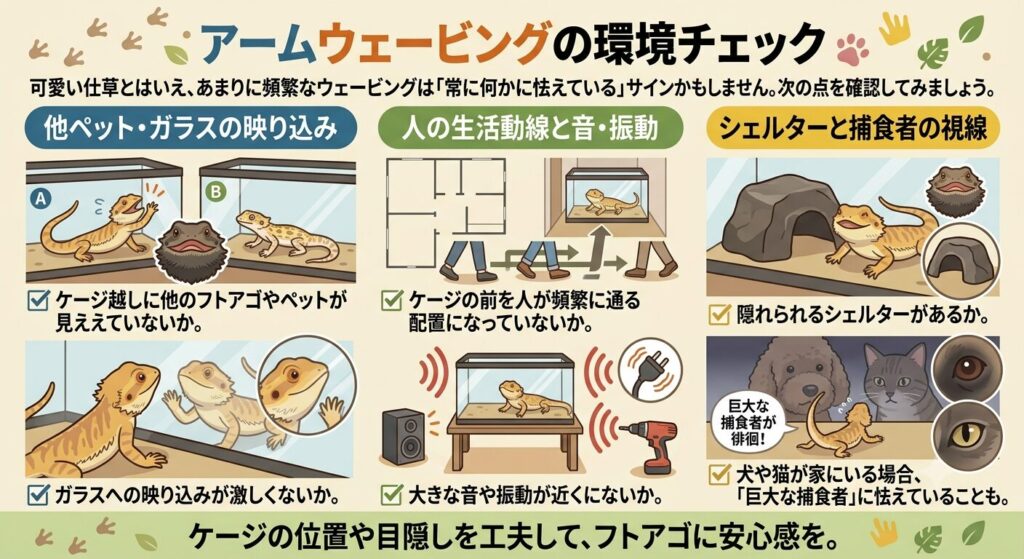 ウェービングが多いフトアゴの環境をチェックするイラスト