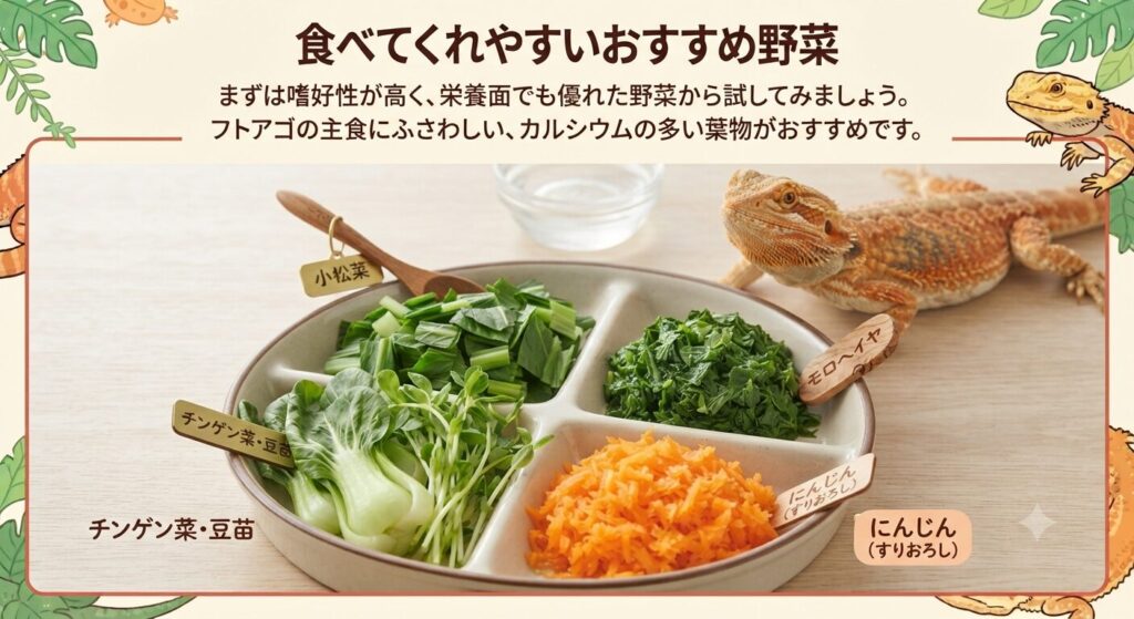 小松菜やモロヘイヤなどフトアゴにおすすめの野菜