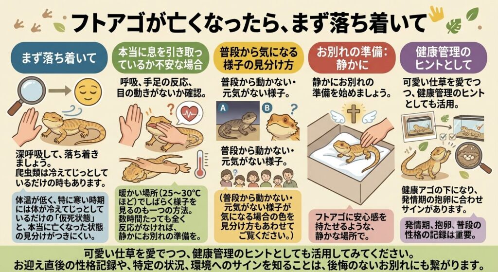 フトアゴが亡くなったときにまず確認すべきポイントをまとめた図解