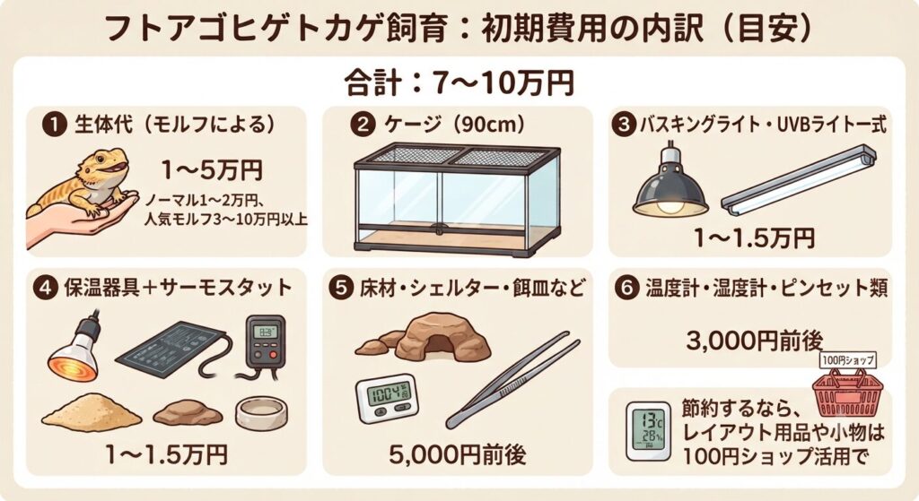 フトアゴ飼育の初期費用の内訳を示すイラスト