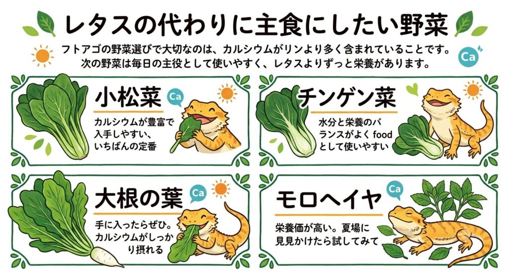 小松菜やチンゲン菜などの主食野菜