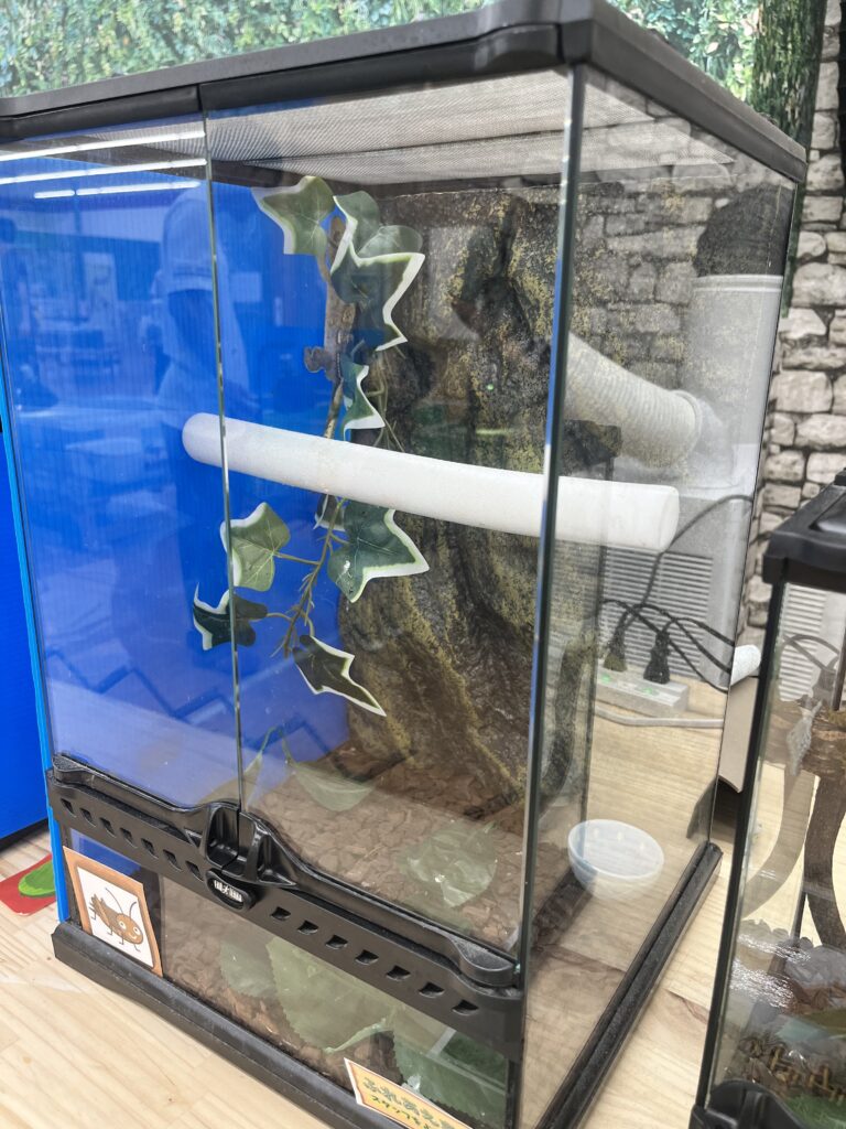 メッシュフタで通気性を確保した水槽飼育のイメージ