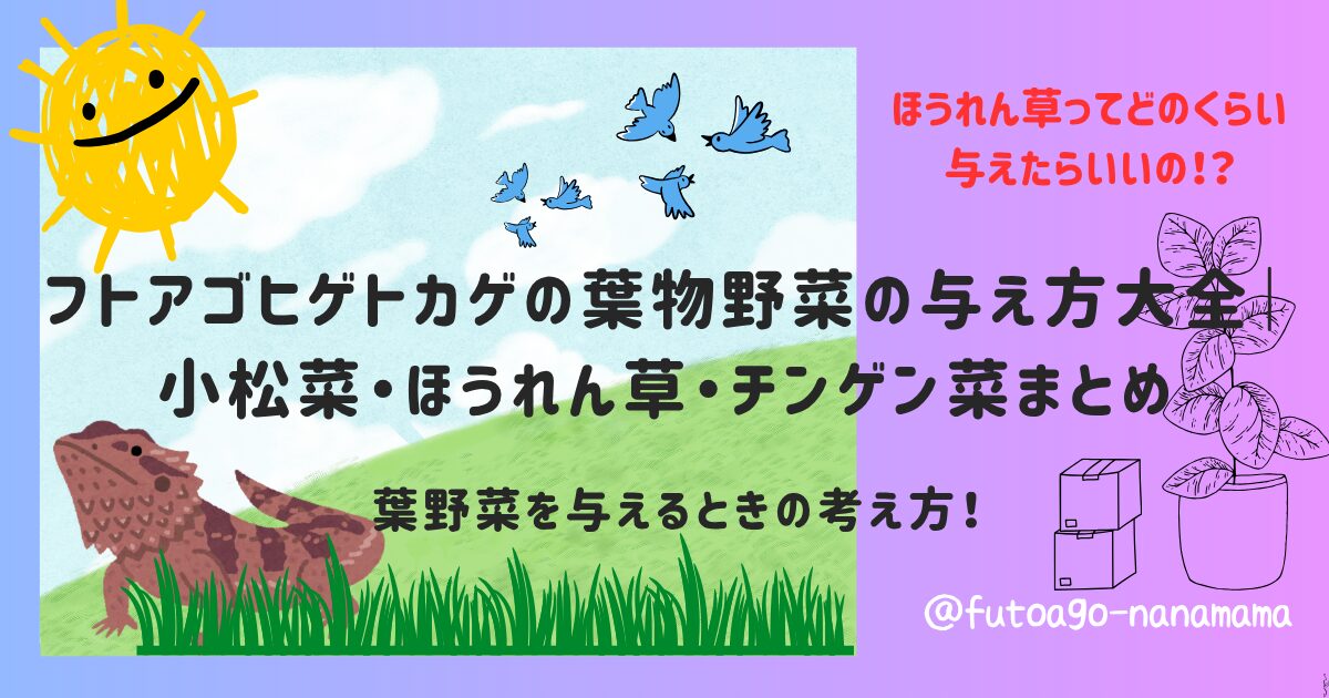 フトアゴヒゲトカゲの葉物野菜の与え方大全のアイキャッチ画像
