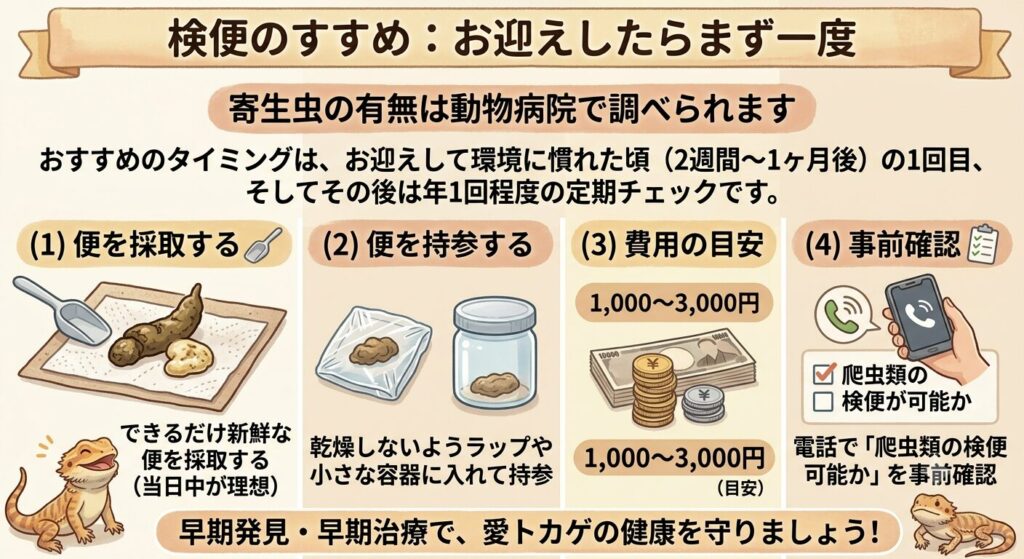 動物病院での検便による寄生虫検査