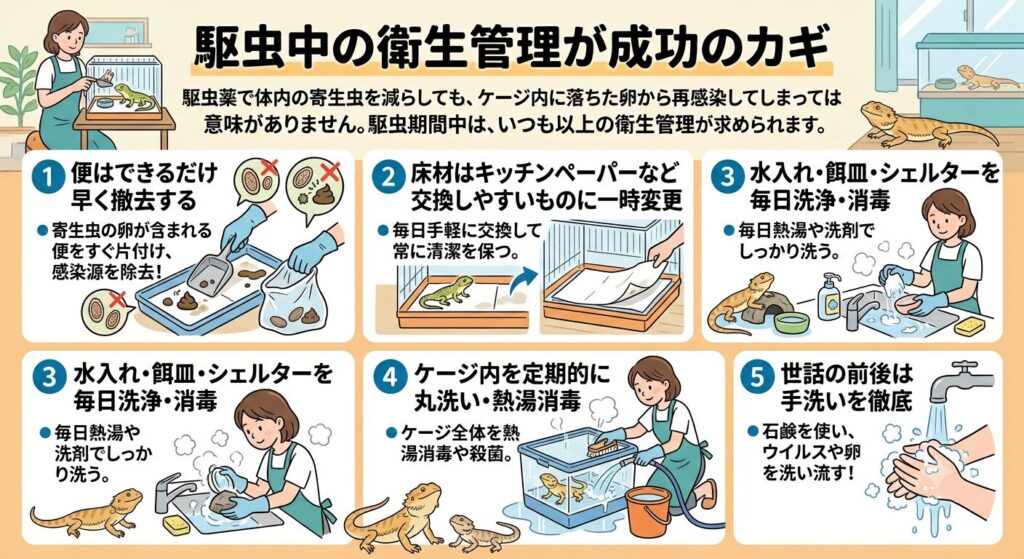駆虫中のケージの衛生管理
