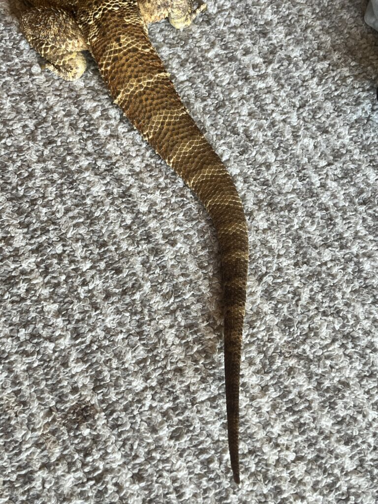 カルシウム管理のセルフチェック