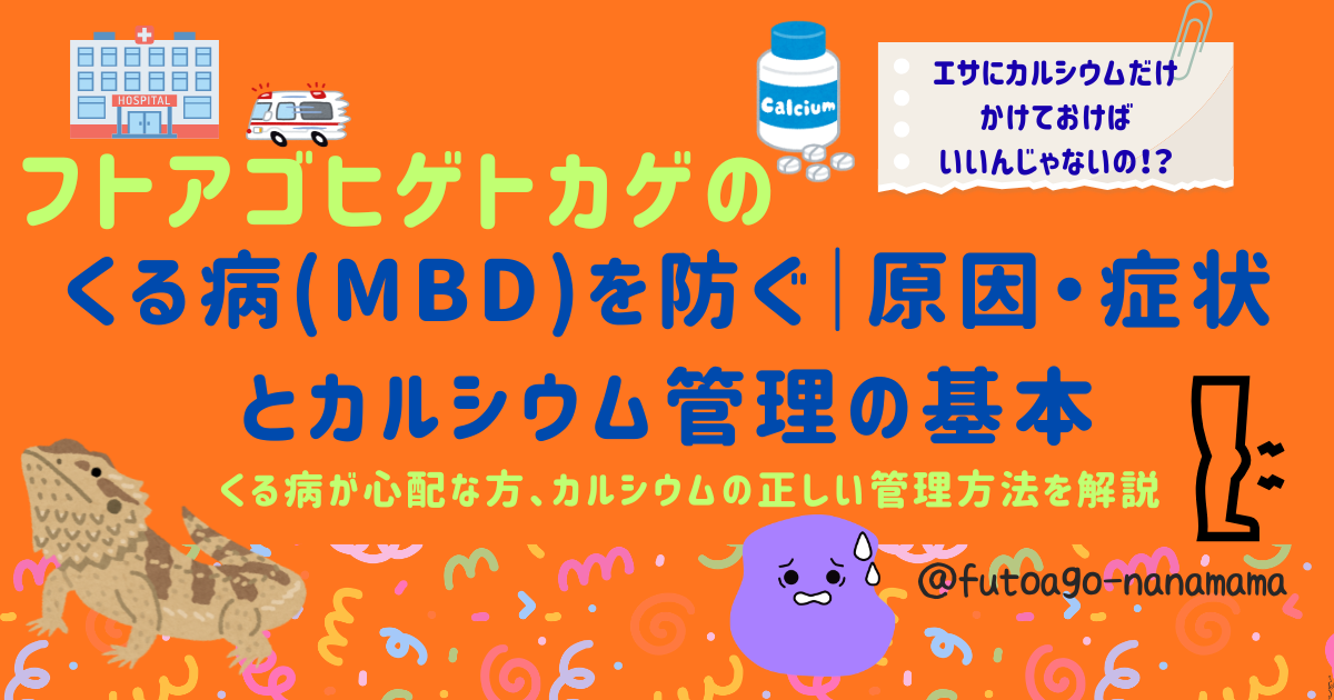 フトアゴヒゲトカゲのくる病(MBD)予防のアイキャッチ画像