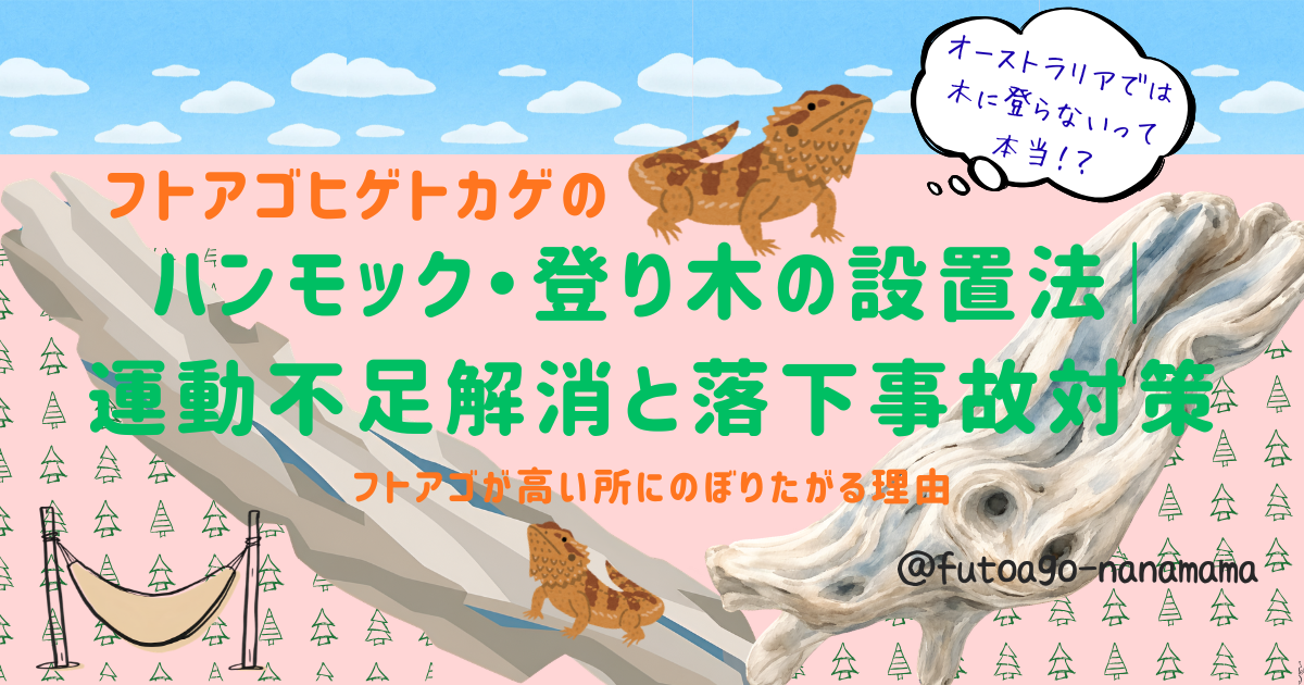 フトアゴヒゲトカゲのハンモック・登り木の設置法を解説するアイキャッチ画像